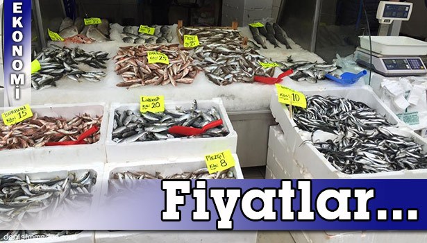TEZGÂHLARDA BALIKLAR AZALDI FİYATLAR YÜKSELDİ