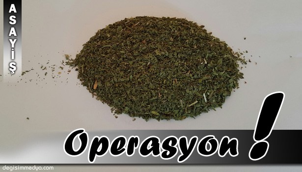 ALAPLI'DA UYUŞTURUCU OPERASYONU