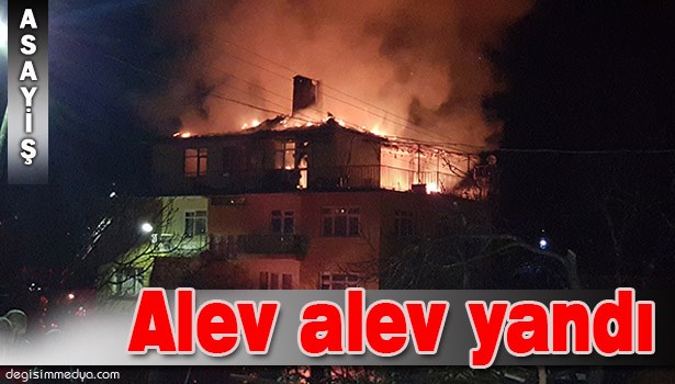 ALAPLI'DA YANGIN KORKUTTU
