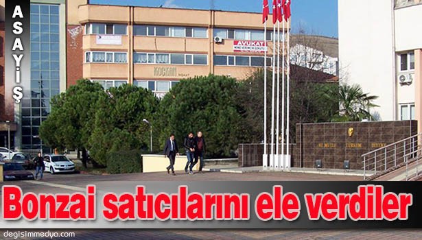BONZAİ İÇERLERKEN YAKALANINCA SATICILARI ELE VERDİLER