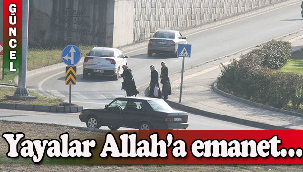 YAYALARIN İŞİ ZOR!..