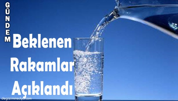 KİŞİ BAŞINA DÜŞEN GÜNLÜK ORTALAMA SU MİKTARI 203 LİTRE