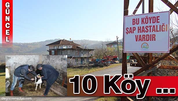 'BU KÖYDE ŞAP HASTALIĞI VARDIR'