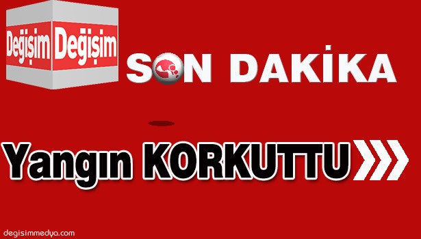 MAHALLEDE ÇIKAN YANGIN KORKU SAÇTI