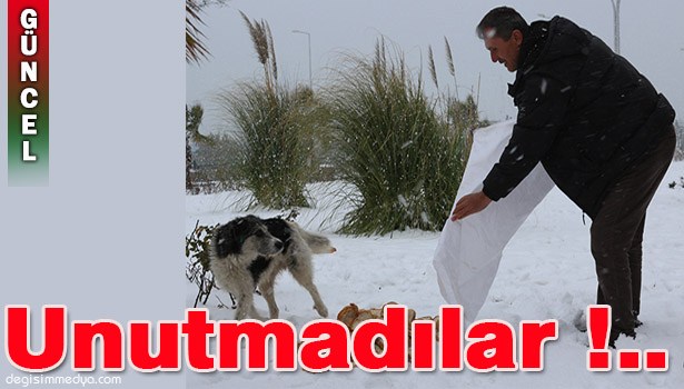 SOKAK HAYVANLARI UNUTULMADI