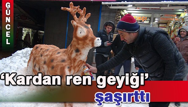 'KARDAN REN GEYİĞİ' İLGİ ODAĞI OLDU