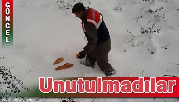 ZONGULDAK İL JANDARMA KOMUTANLIĞI EKİPLERİ YABAN HAYVANLARINI UNUTMADI