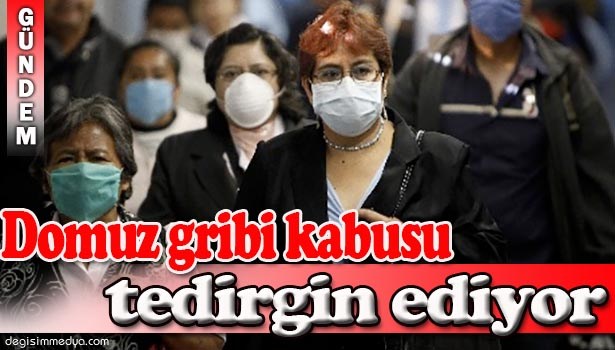 DOMUZ GRİBİ KÂBUSU KORKUTUYOR!