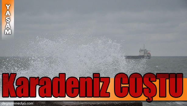 KARADENİZ COŞTU LİMAN ÇÖPLE DOLDU