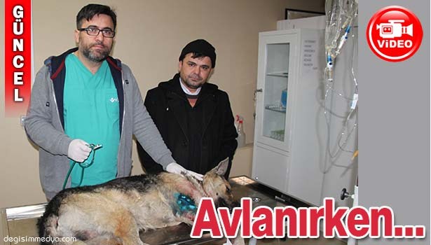 "AVLANIRKEN NİŞAN ALDIĞINIZ CANLILARA DİKKAT EDİN"