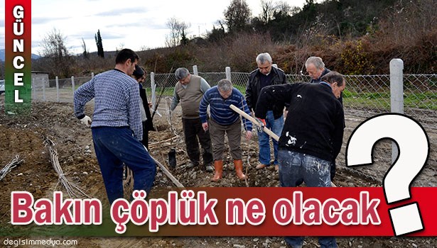 20 DÖNÜMLÜK ÇÖPLÜK, ÇİLEK BAHÇESİ OLACAK