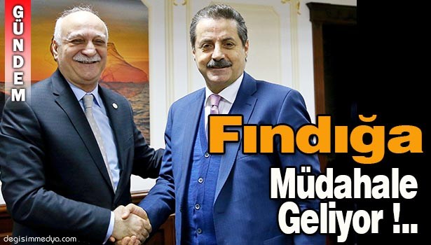 FINDIĞA MÜDAHALE GELİYOR