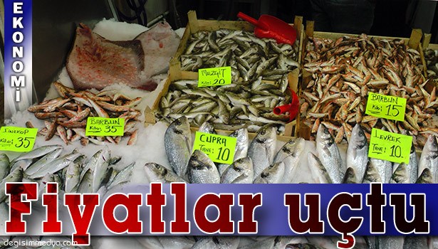 KAR KARADENİZ'E DÜŞTÜ, BALIK FİYATLARI UÇTU