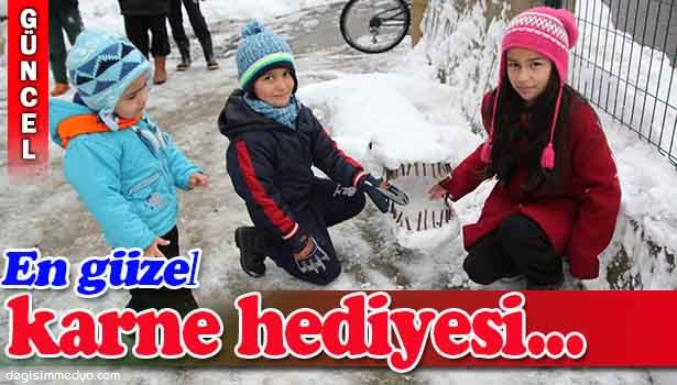 TORUNLARA KARNE HEDİYESİ KARDAN TİMSAH VE KÖPEKBALIĞI