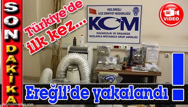 EREĞLİ' DE MARİJUANA OPERASYONU