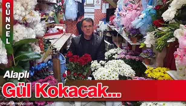 SEVGİLİLER GÜNÜNDE ALAPLI GÜL KOKACAK