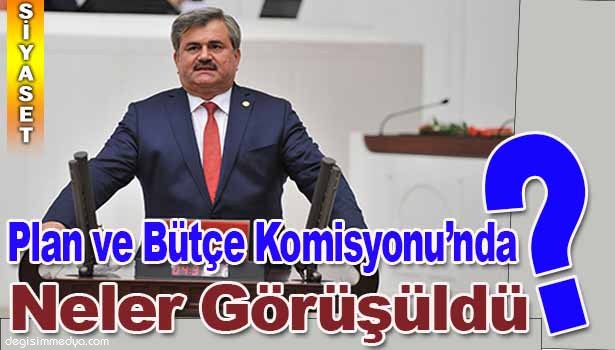 ÇATUROĞLU, PLAN VE BÜTÇE KOMİSYONU'NDA KONUŞTU