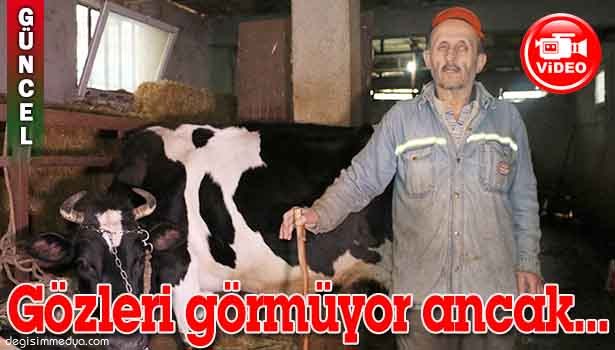 GÖRME ENGELLİ HAYVANLARINA KENDİSİ BAKIYOR