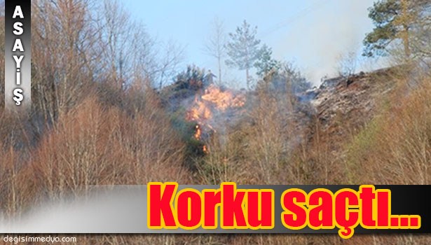 ALAPLI'DA ORMAN YANGINI