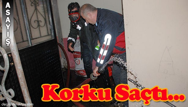 ALAPLI'DA MEYDANA GELEN YANGIN KORKUTTU