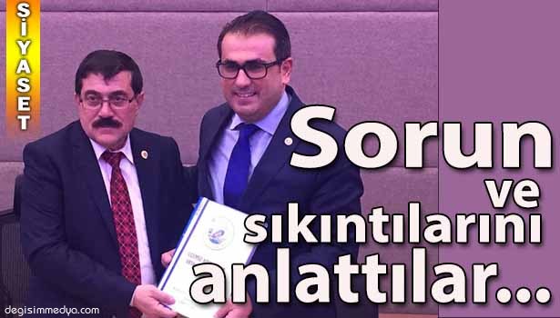 DEMİRTAŞ'A ALAPLI'NIN SIKINTILARINI ANLATTILAR