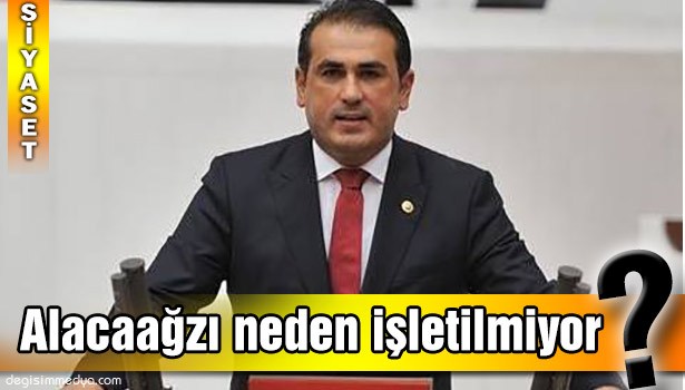 DEMİRTAŞ, BAKAN ALBAYRAK'A SORDU: