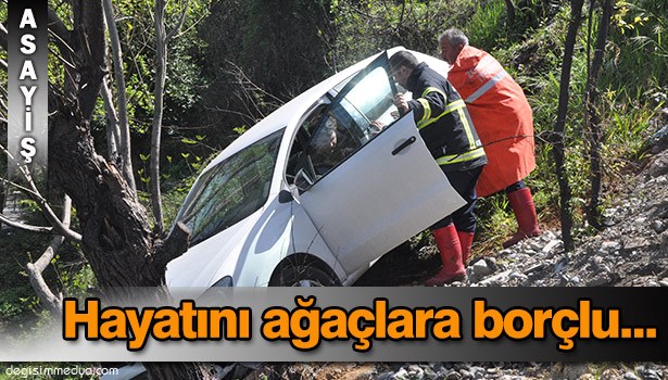 AĞAÇLAR HAYATINI KURTARDI