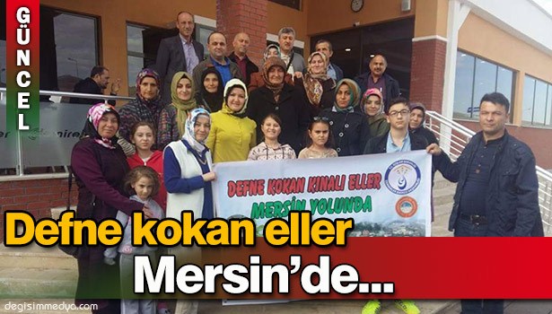 DEFNE KOKAN KINALI ELLER MERSİN'DE