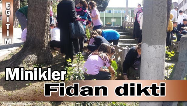DEVREKLİ ÖĞRENCİLER FİDAN DİKTİ