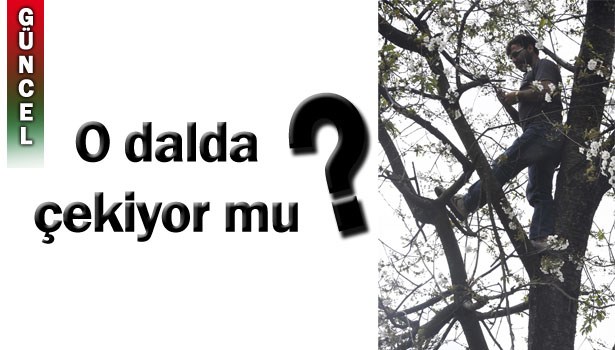 TELEFONLA GÖRÜŞEBİLMEK İÇİN AĞAÇLARA ÇIKTILAR