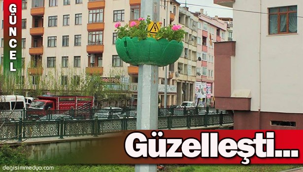 AYDINLANMA DİREKLERİ SARDUNYA ÇİÇEKLERİYLE SÜSLENDİ