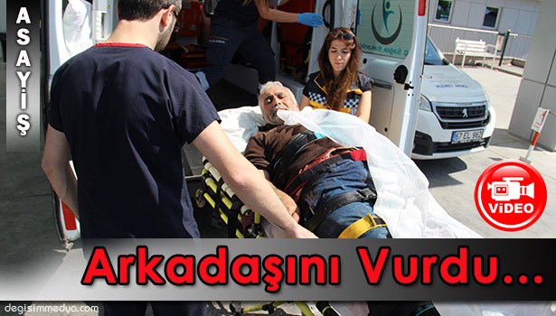 DOMUZ YERİNE ARKADAŞINI VURDU