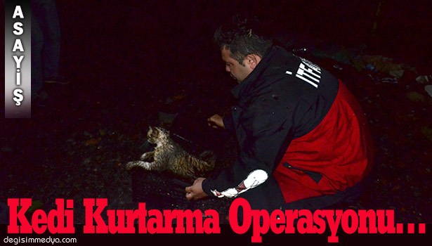 KEDİ KURTARMA OPERASYONU...
