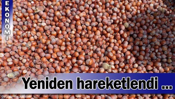 FINDIK FİYATLARI YENİDEN HAREKETLENDİ