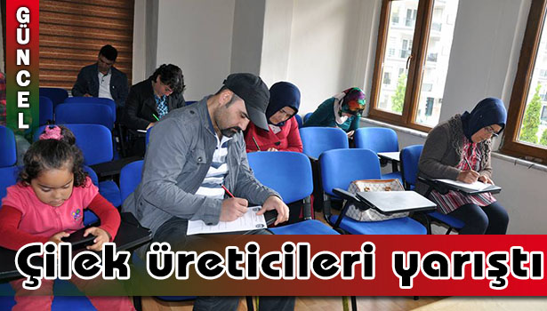 Çilek üreticileri yarıştı