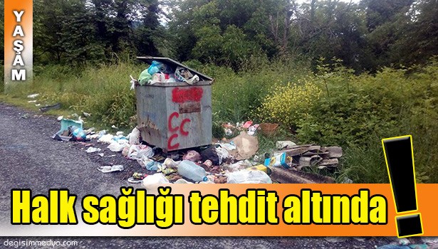 ALAPLI KÖYLERİNDE ÇÖP YIĞINI İNSAN SAĞLIĞINI TEHDİT EDİYOR!