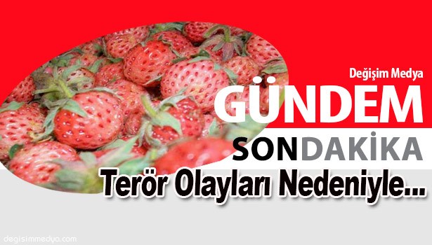 ÇİLEK ŞENLİĞİ PROGRAMINA YENİ DÜZENLEME.....