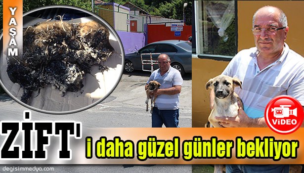 ZİFT'İ DAHA GÜZEL GÜNLER BEKLİYOR