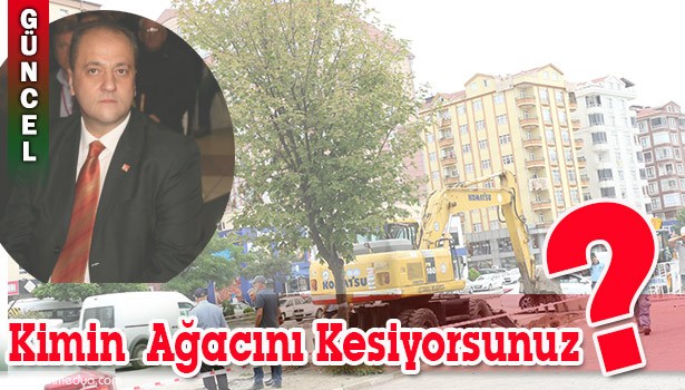 OCAKÇI: "KİMİN AĞACINI KESİYORSUNUZ?"