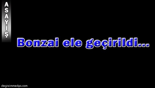 BONZAİ ELE GEÇİRİLDİ