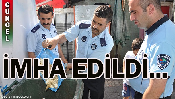 18 KG YABANİ MANTAR İMHA EDİLDİ...