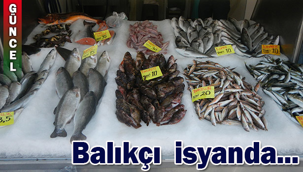 BALIK KÜLTÜRÜNÜ ALIŞTIRAMADIK...