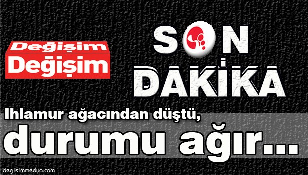 IHLAMUR AĞACINDAN DÜŞTÜ, DURUMU AĞIR...