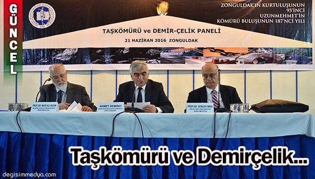 "TAŞKÖMÜRÜ VE DEMİR-ÇELİK" PANELİ...