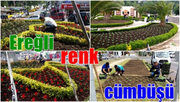 Ereğli renk cümbüşüne büründü