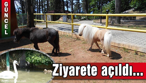 MİNİ HAYVANAT BAHÇESİ ŞENLENDİ!