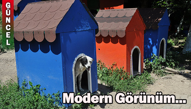 BARINAK VE MEZBAHANEYE MODERN GÖRÜNÜM..