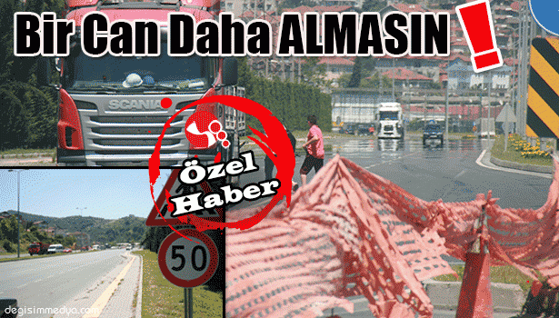 YAYALAR ALLAH'A EMANET