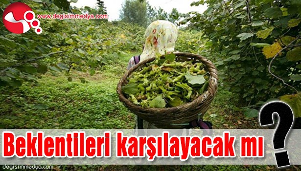BEKLENTİLERİ KARŞILAYACAK MI?