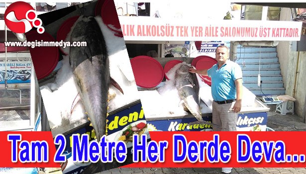 TAM 2 METRE HER DERDE DEVA...